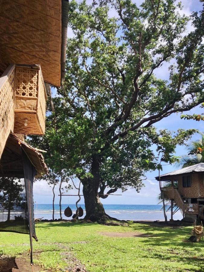 MambajaoBorbon'S Treehouse By The Sea住宿加早餐旅馆 外观 照片